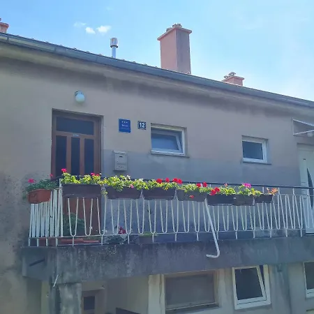 Roses Novi Vinodolski