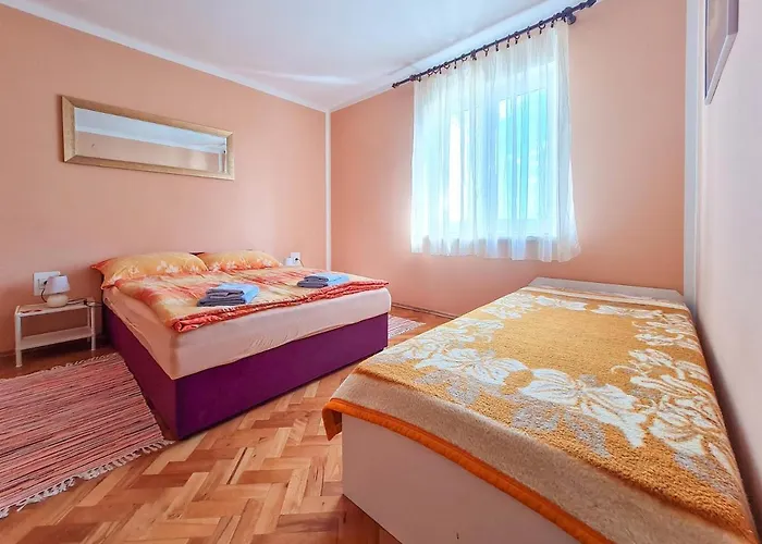 Roses 诺维·维诺多尔斯基